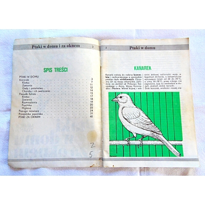 Zdann M. PTAKI W DOMU I ZA OKNEM