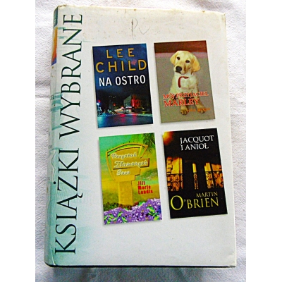 Pr.zb. KSIĄŻKI WYBRANE  4 tytuły  /Opis/  1) Lee Hild NA OSTRO ...