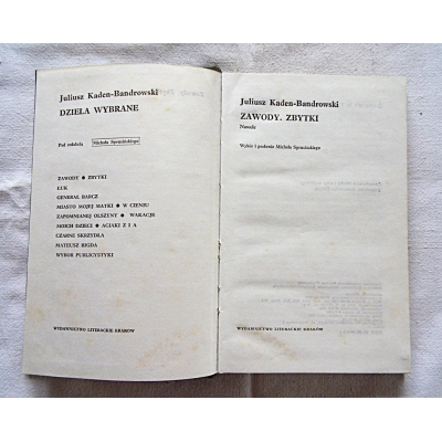 Kaden-Bandrowski J. ZAWODY*ZBYTKI Nowele  206/9