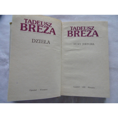 BREZA T.  MURY JERYCHA  240/7
