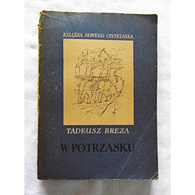 Breza T. W POTRZASKU  163/8