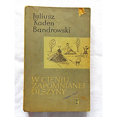 Kaden-Bandrowski J. W CIENIU ZAPOMNIANEJ OLSZYNY  319/7