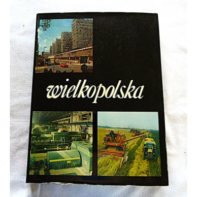 Cichy A.  WIELKOPOLSKA   92/11