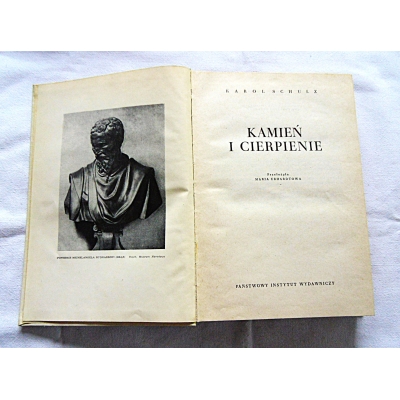 Schulz K. KAMIEŃ I CIERPIENIE  116/13