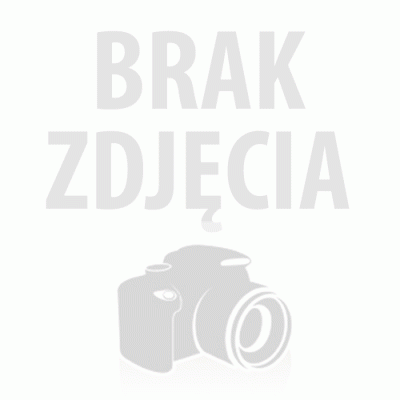 Wasylewski S.  U KSIĘŻNEJ PANI