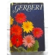 Pr.zb.  GERBERA