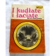 Sołtyńska M. I KUDŁATE I ŁACIATE